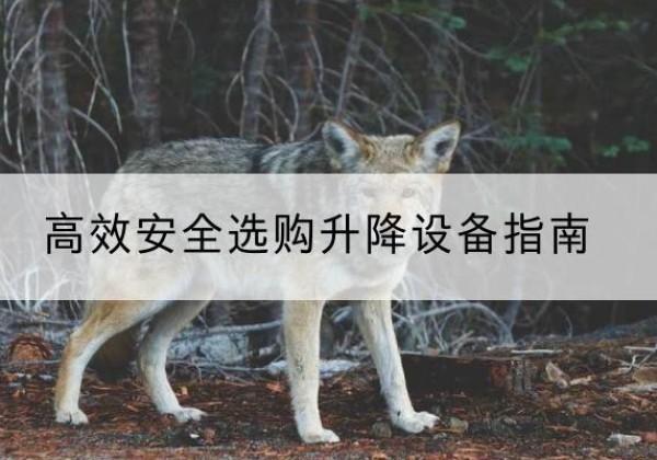 麻山升降货梯厂家推荐-*安全选购升降设备指南