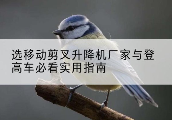 麻山电动升降机厂家-选移动剪叉升降机厂家与登高车必看实用指南