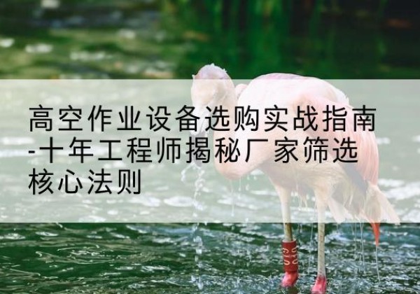 麻山剪叉式升降机厂家-高空作业设备选购实战指南-十年工程师揭秘厂家筛选核心法则